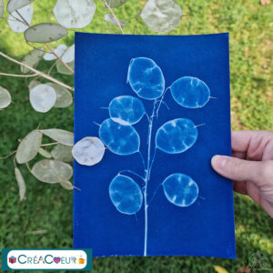 Atelier Cyanotype chez CréaCoeur à Tourcoing